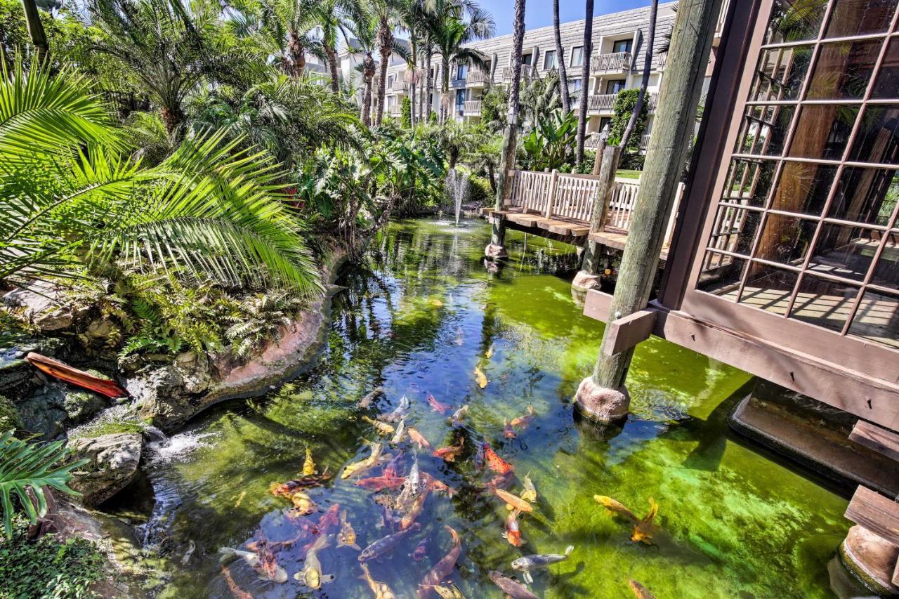 Charming Oceanside Condo With Beach And Pool Access! Eksteriør bilde